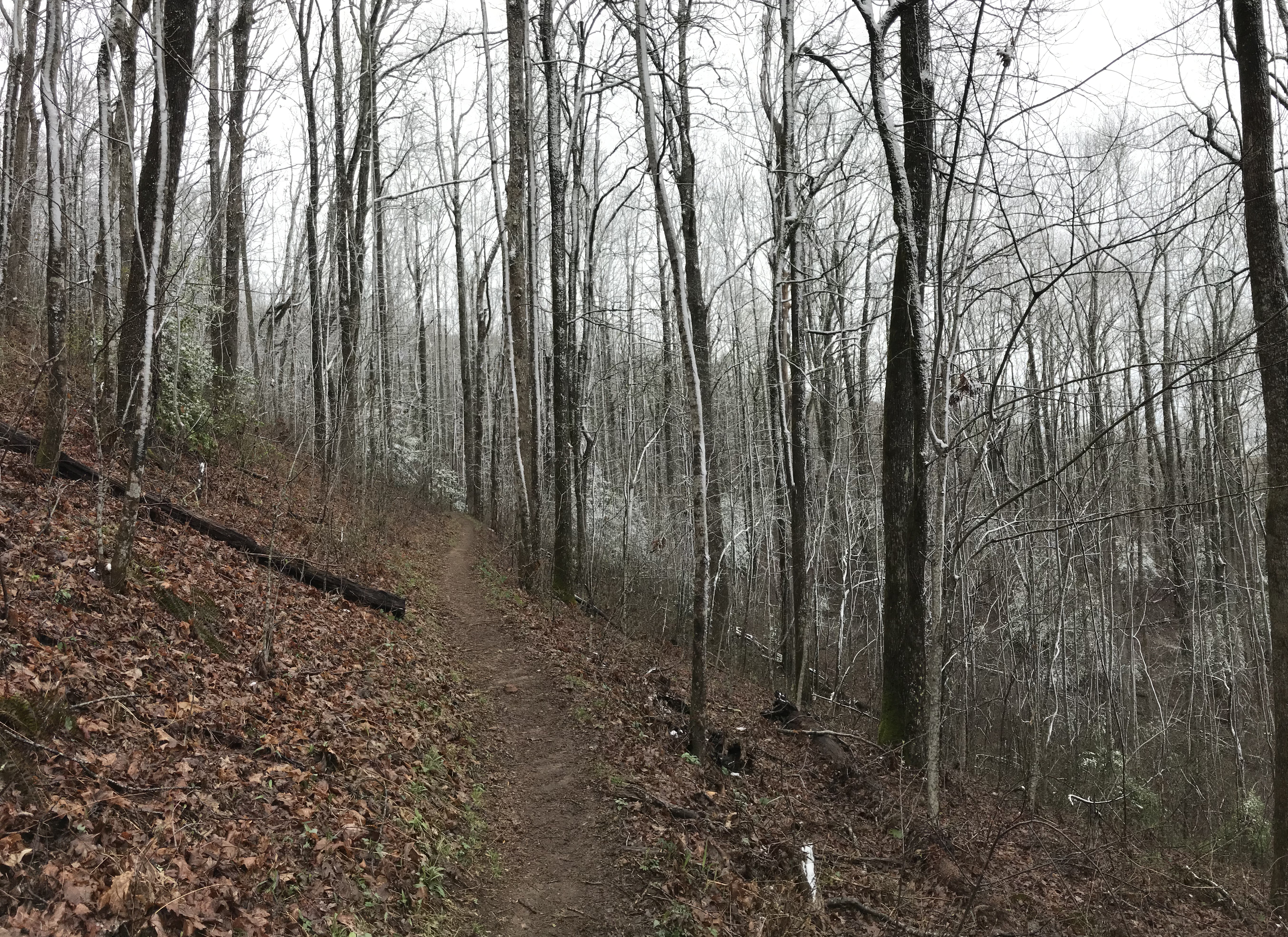 059CAC2C-B180-4622-8ED4-4ED5FCB3F9C6