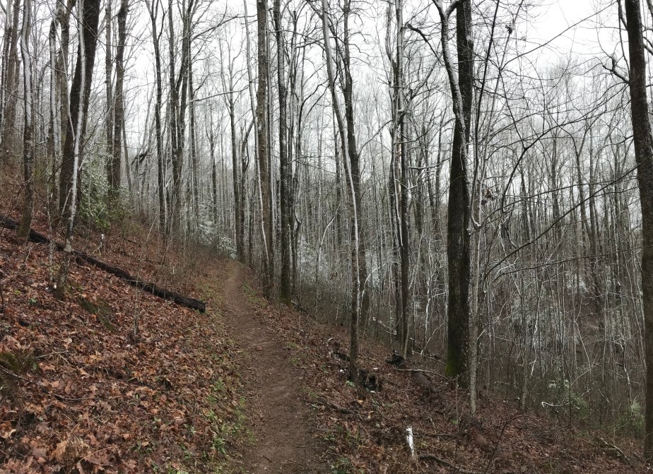 059CAC2C-B180-4622-8ED4-4ED5FCB3F9C6