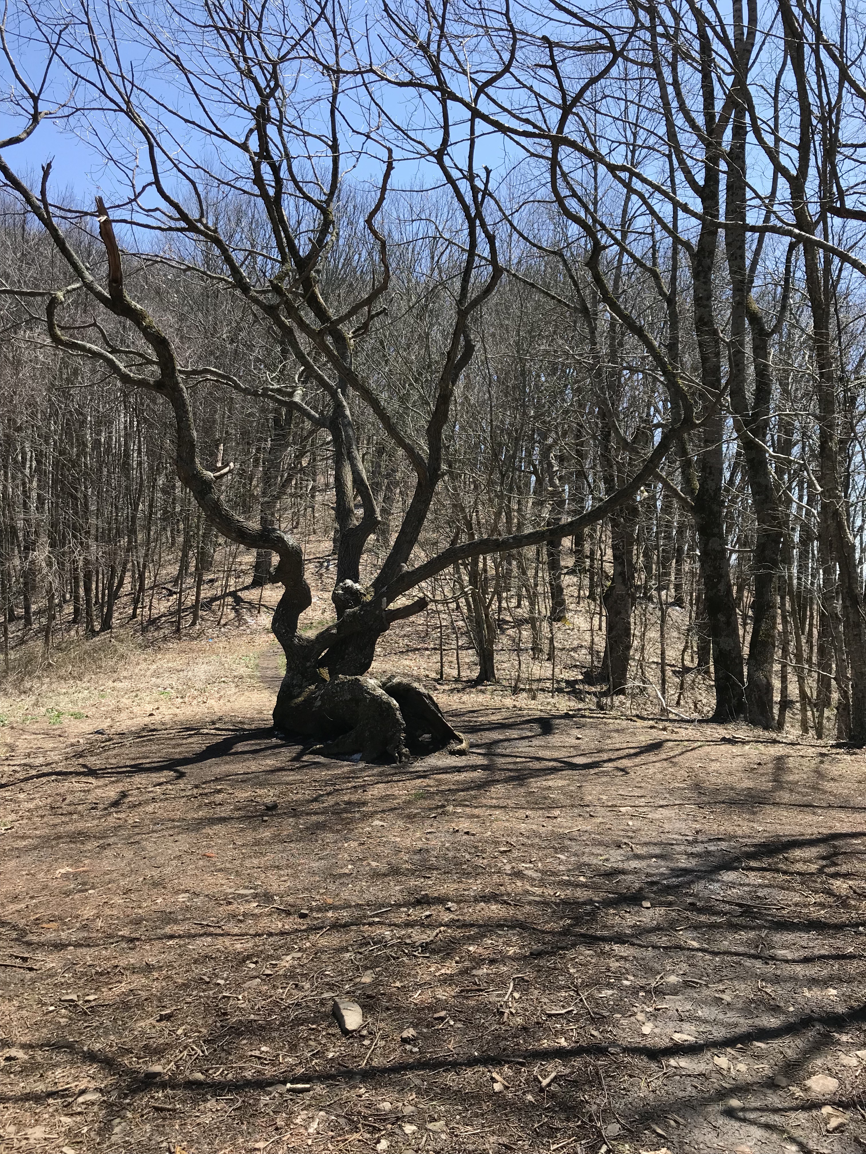 0F2706C2-2B70-4DBB-80D7-72B923F815A9