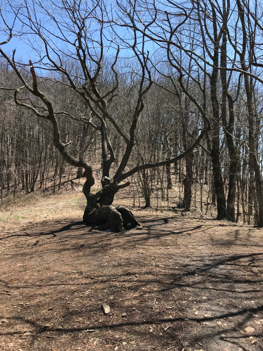 0F2706C2-2B70-4DBB-80D7-72B923F815A9