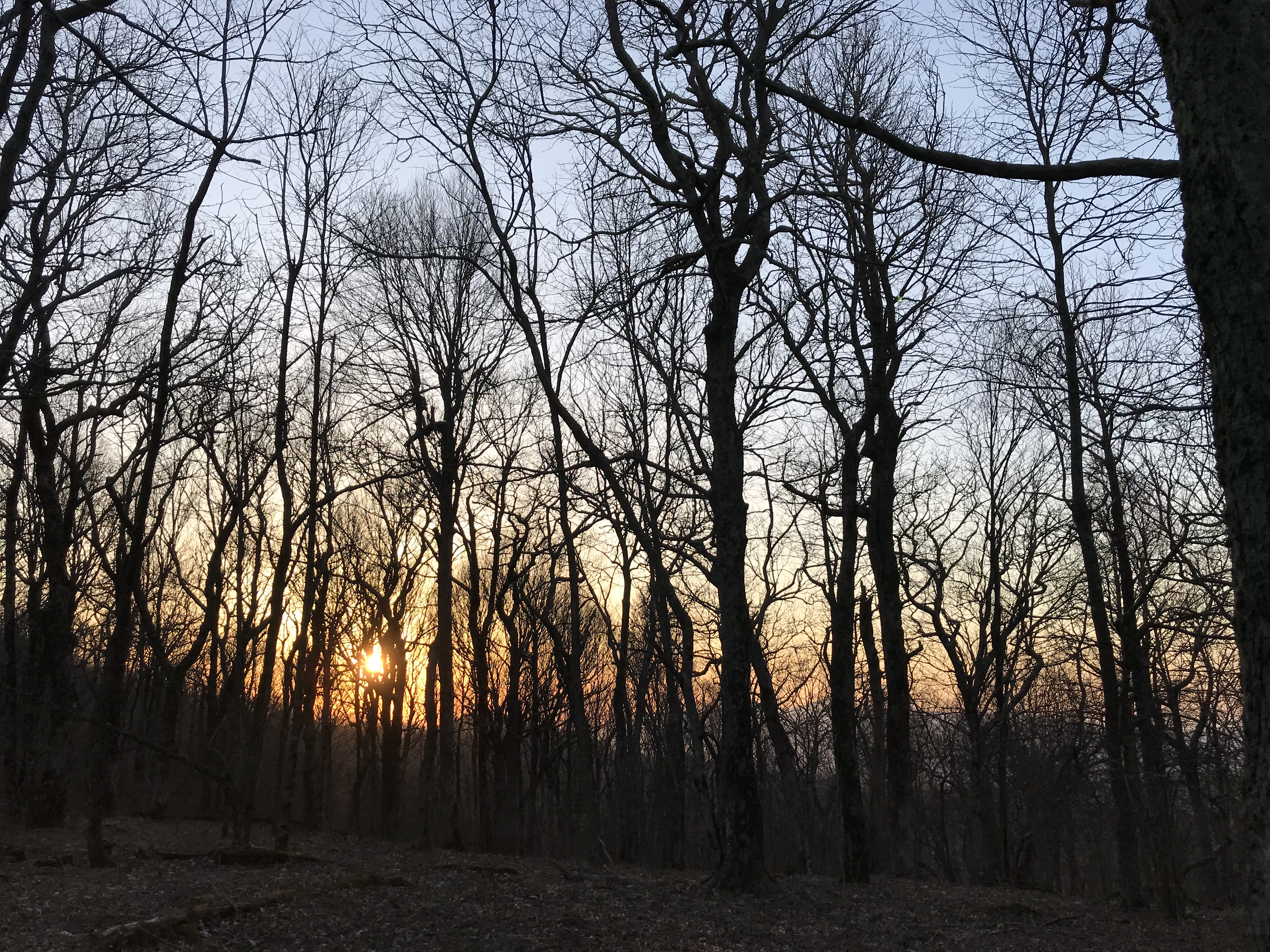 249AD00B-134F-4309-AF90-E3EA35889430