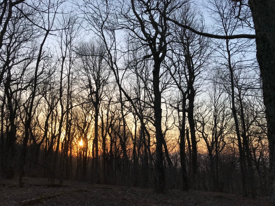 249AD00B-134F-4309-AF90-E3EA35889430