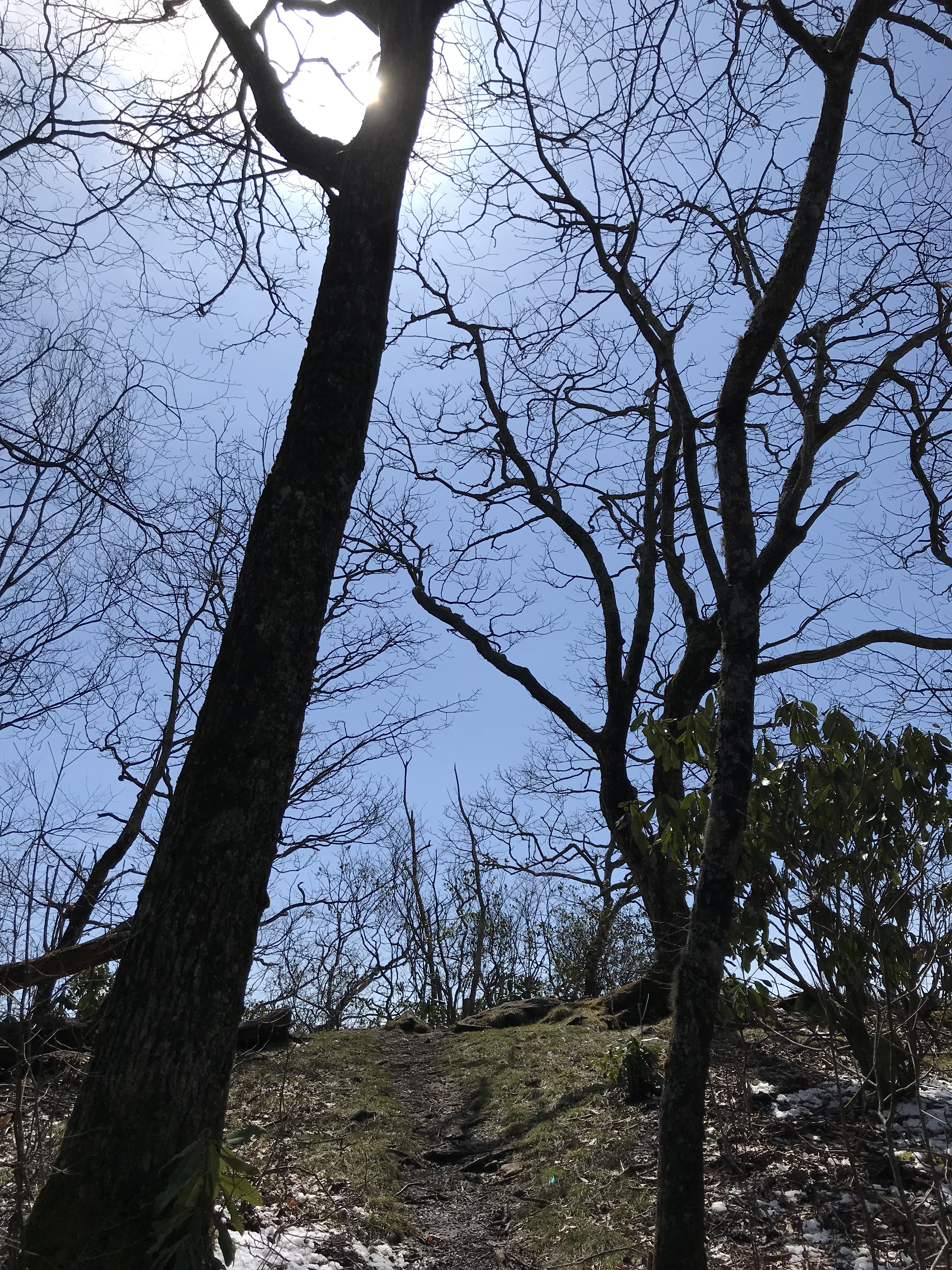 37885E2A-5F0C-43CC-84DA-0BD01E5CEDC3