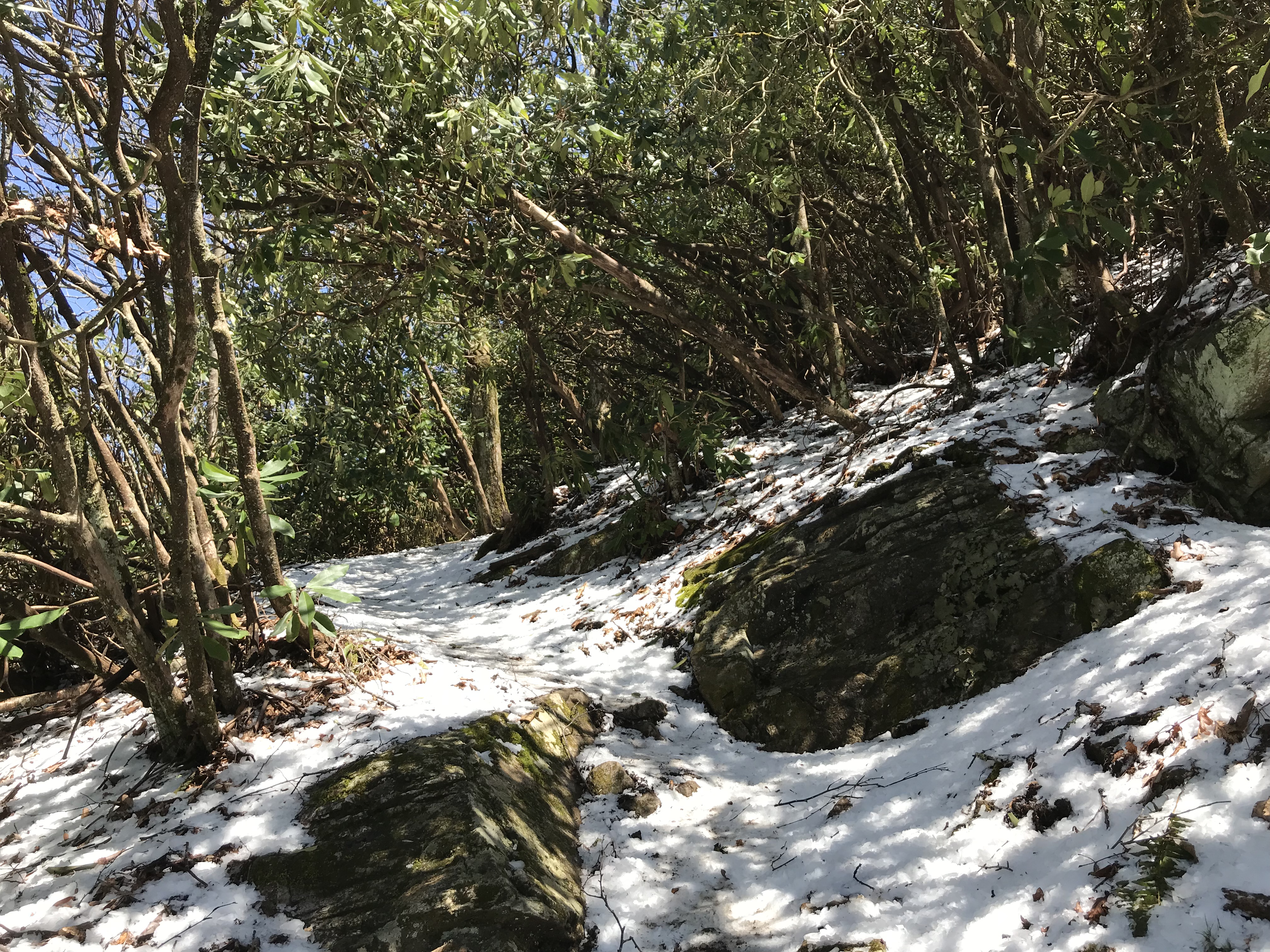 52ECEC95-AA1B-4FD8-9E02-FEAF9532A389