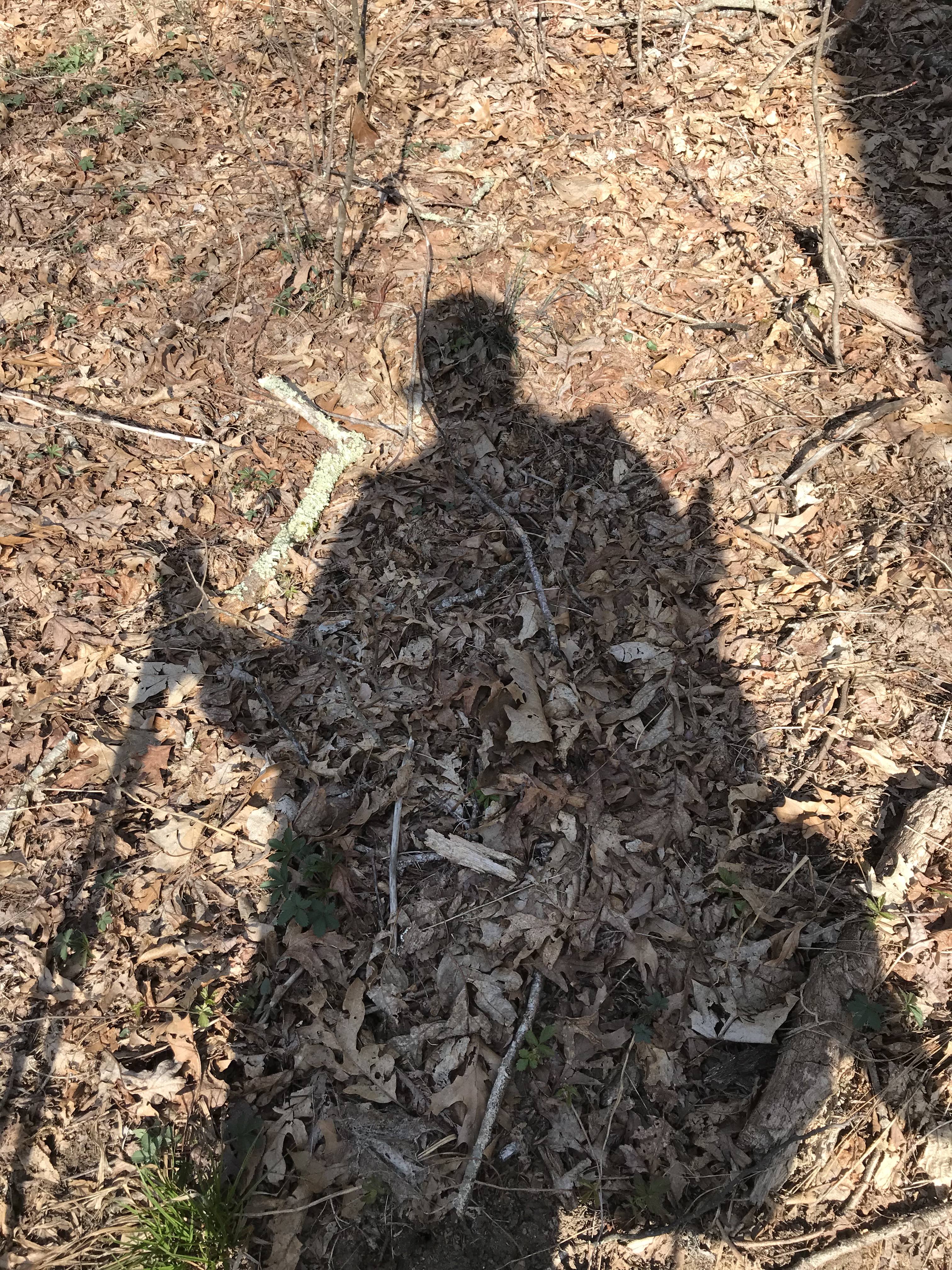 57782B5E-123A-45CC-948B-967DD99EB05F