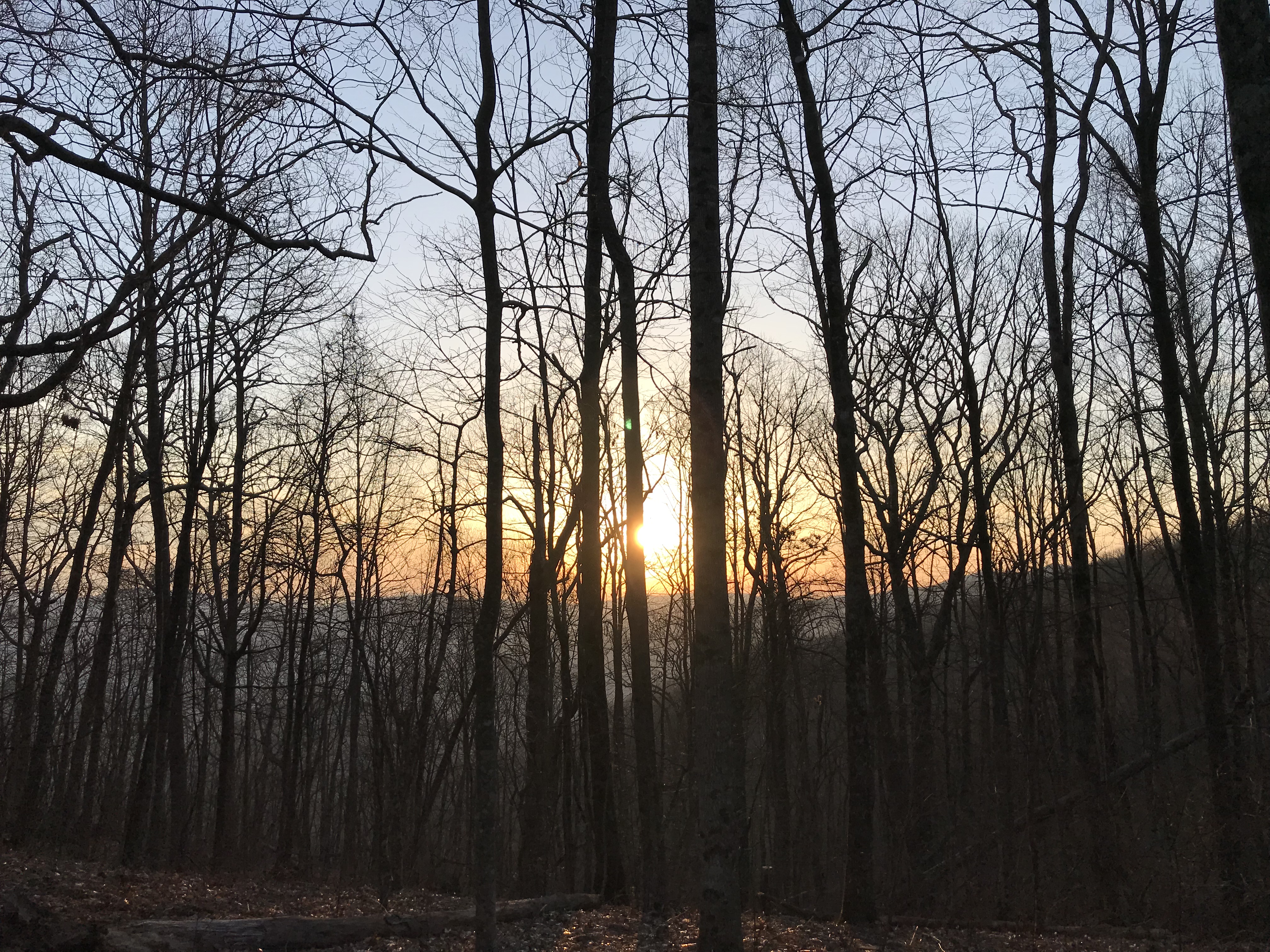 5B5F8F9E-B32C-4A5E-97E3-2317E20B6CBC