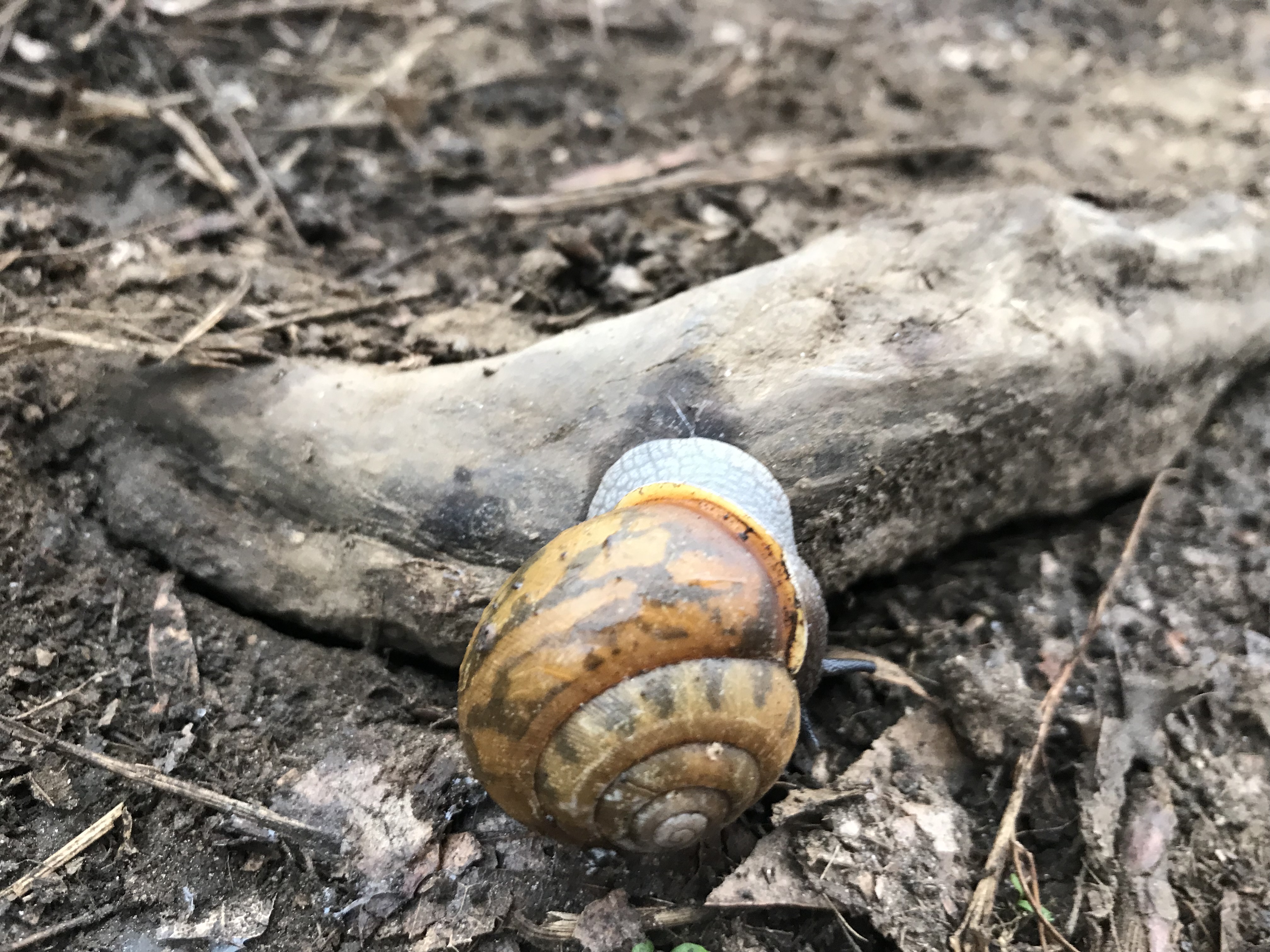 5B8E48AD-708B-4F00-9E14-D155C6B12495