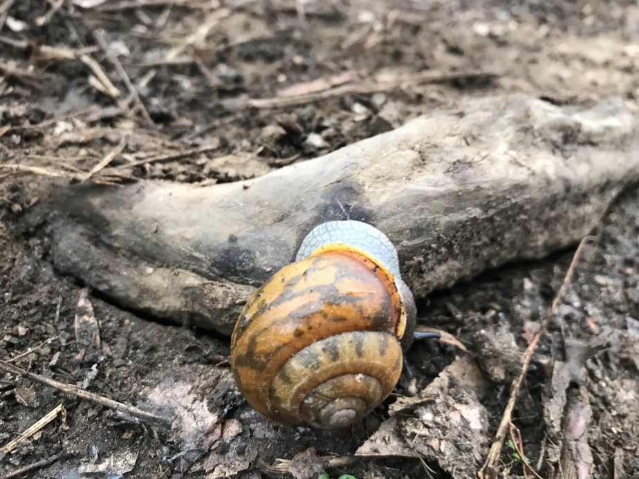 5B8E48AD-708B-4F00-9E14-D155C6B12495