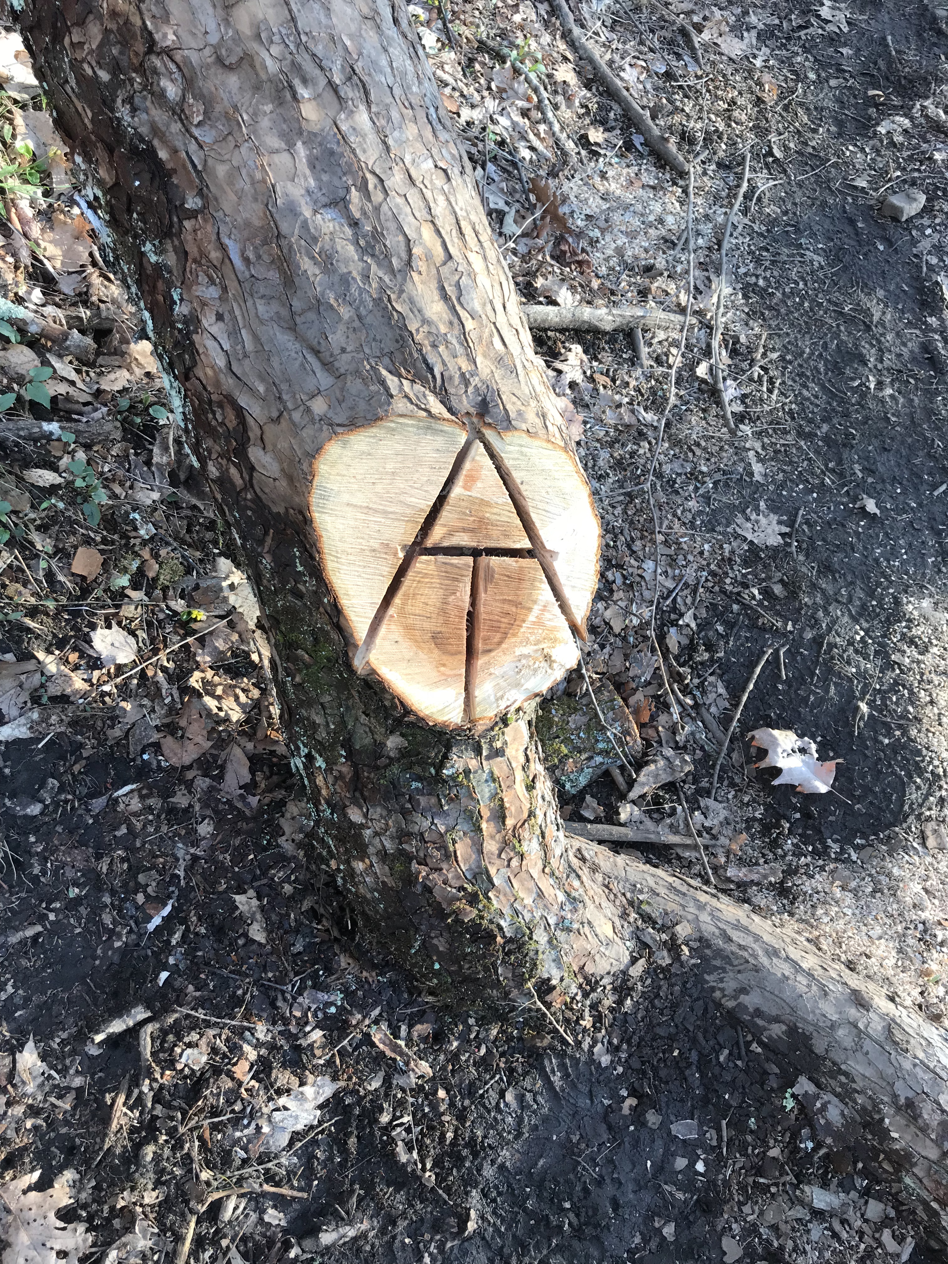 5D4A294D-17D7-4D13-9689-485A327BBF47