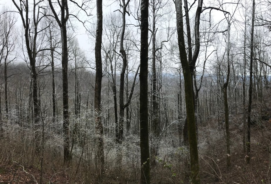 5EBFB8CC-8227-43AC-9397-754DBD80E788