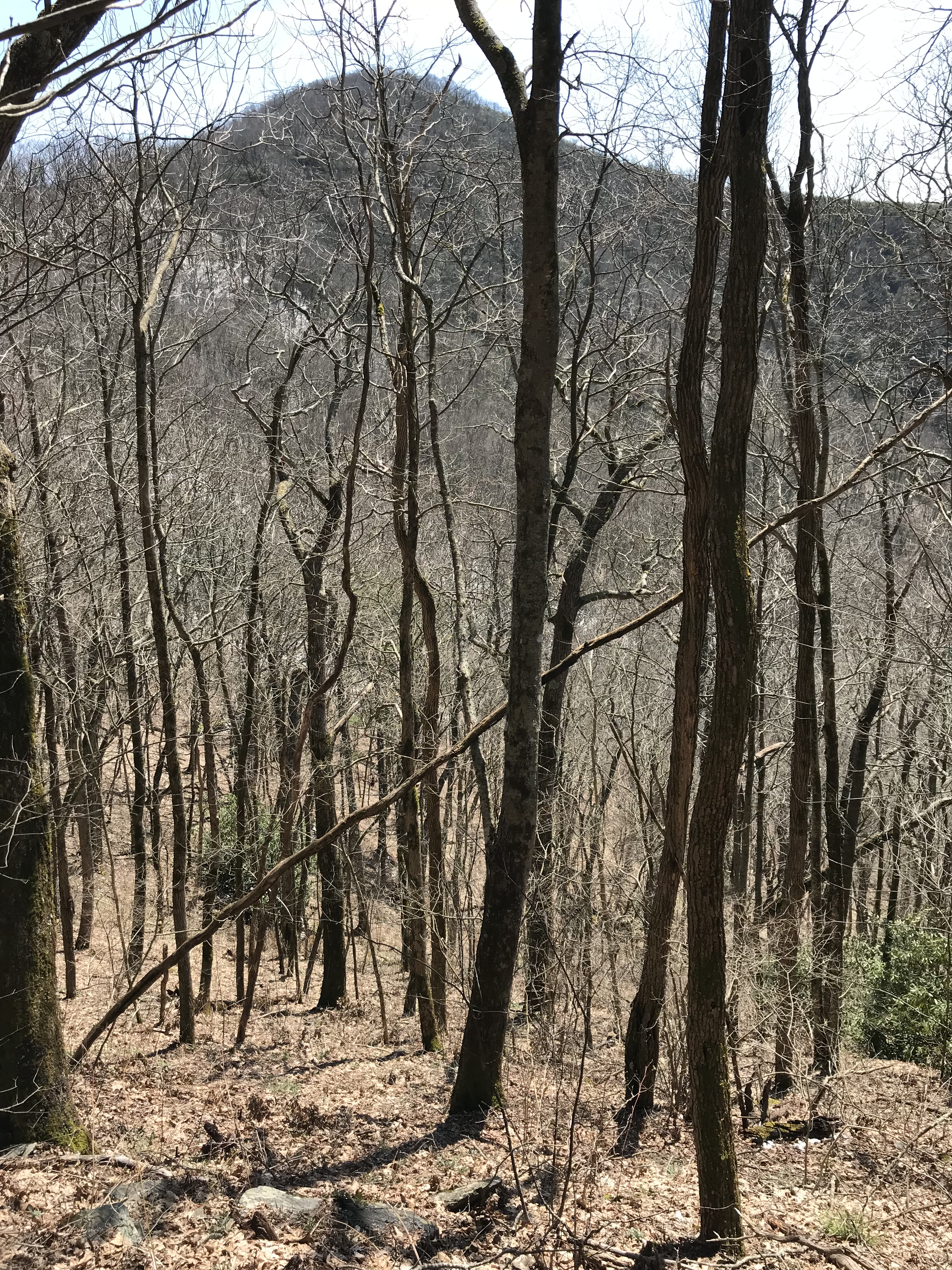 6A5AD01A-AF0B-4350-86CE-652DE29AB427