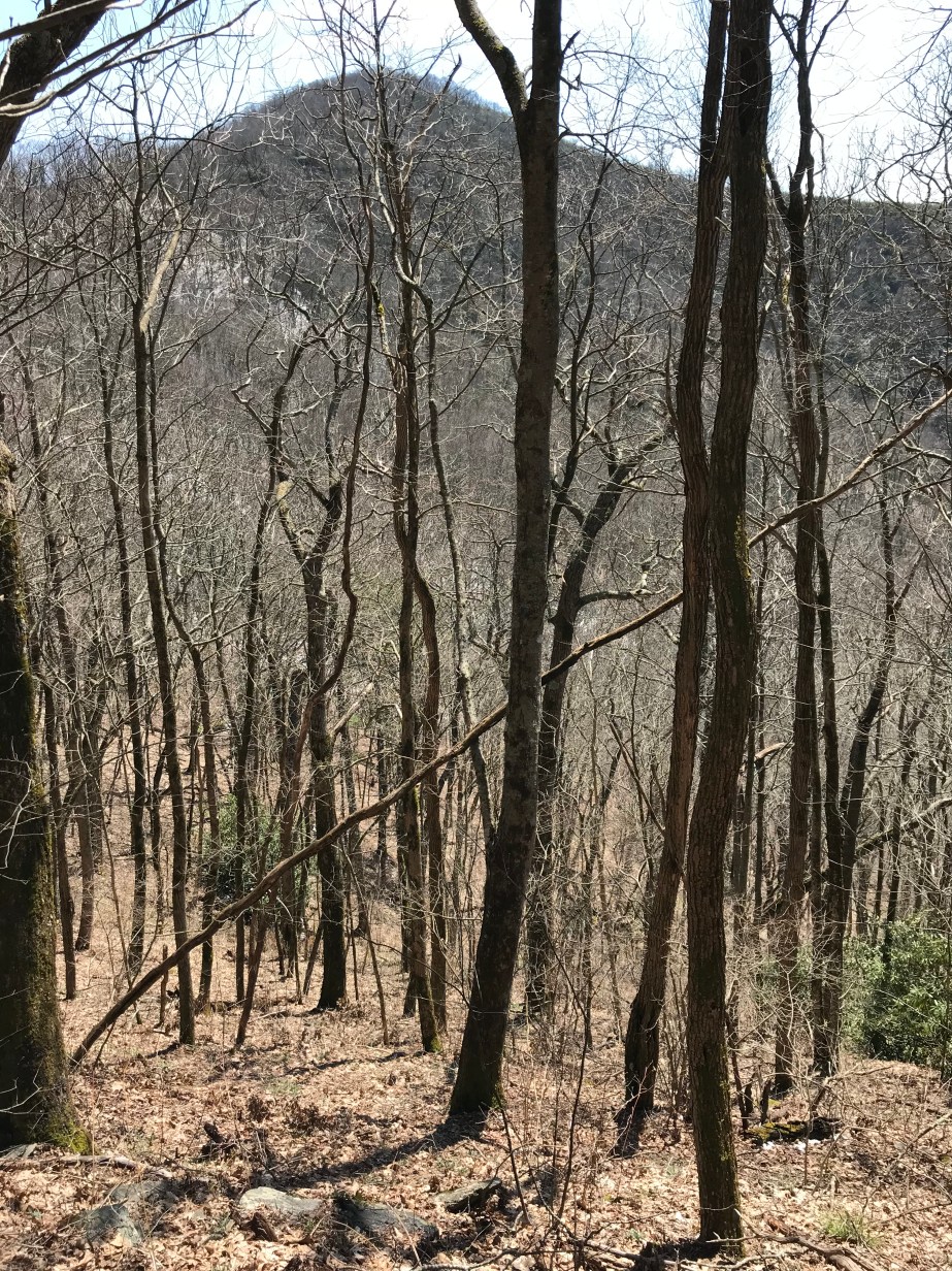 6A5AD01A-AF0B-4350-86CE-652DE29AB427