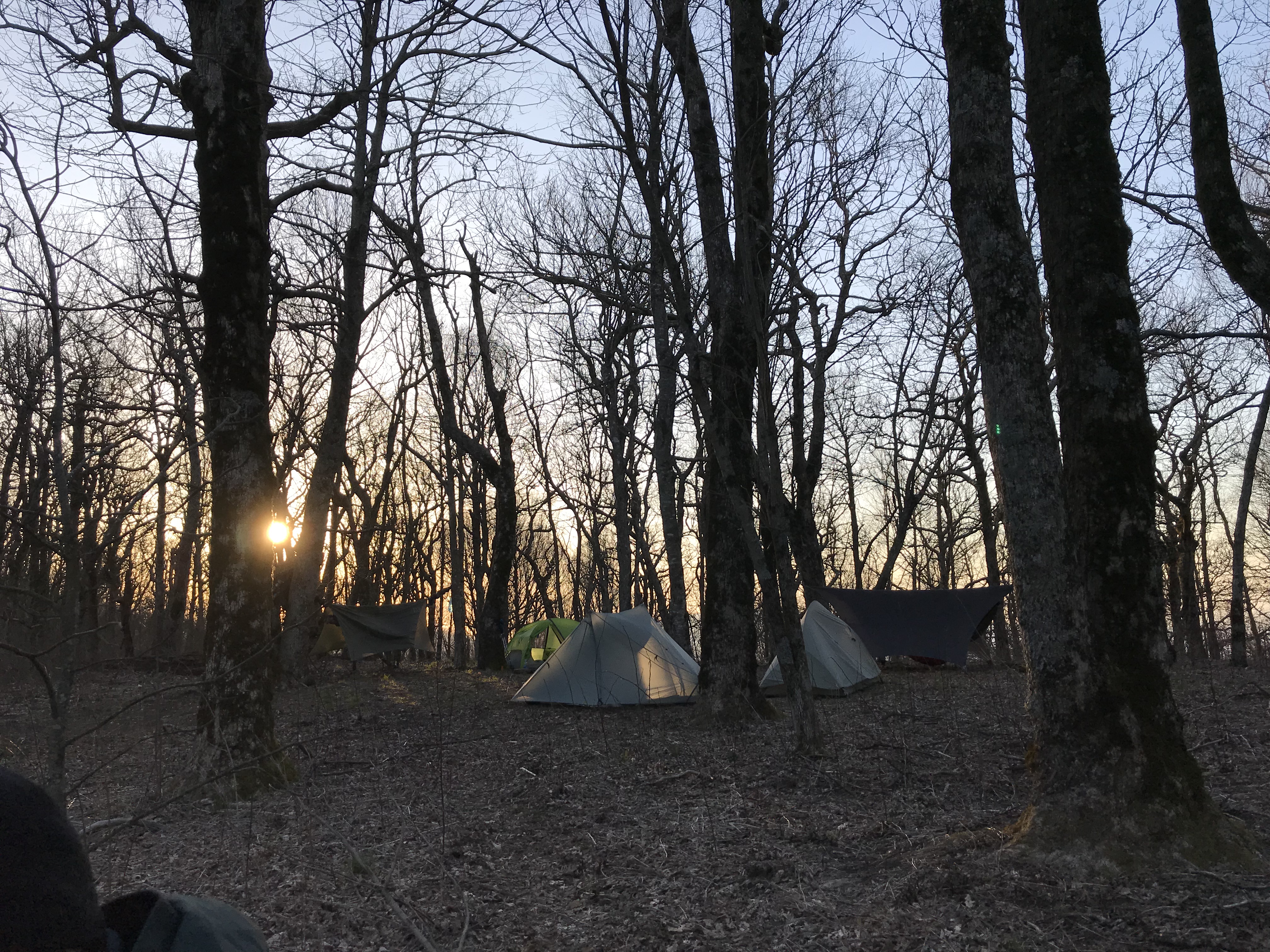 84B3D1E5-029F-409A-A50C-DCFB7C462708