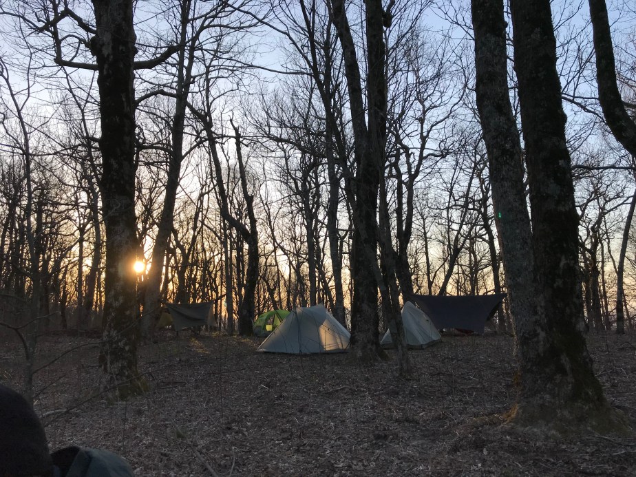 84B3D1E5-029F-409A-A50C-DCFB7C462708