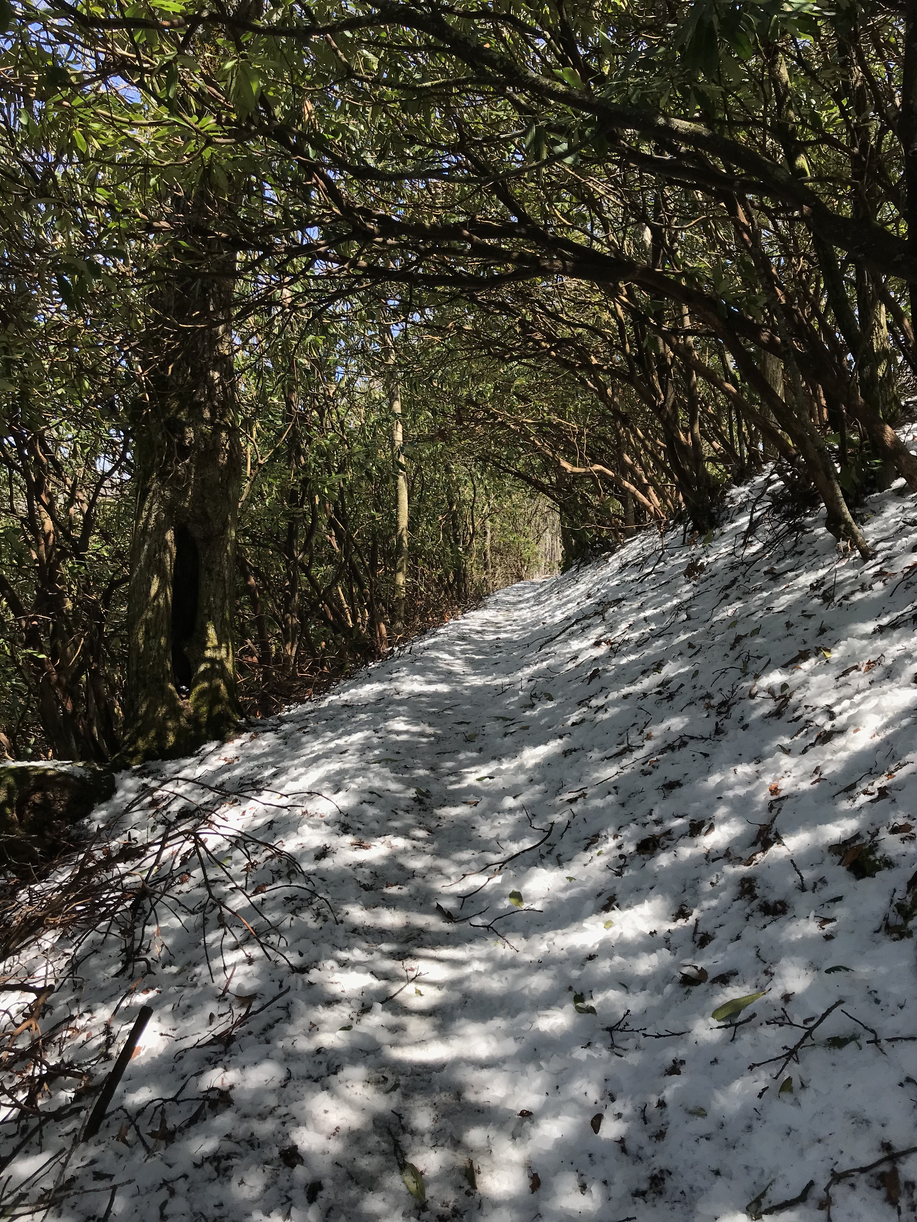 B3A33F01-B942-40BA-A2E8-76273F61113D