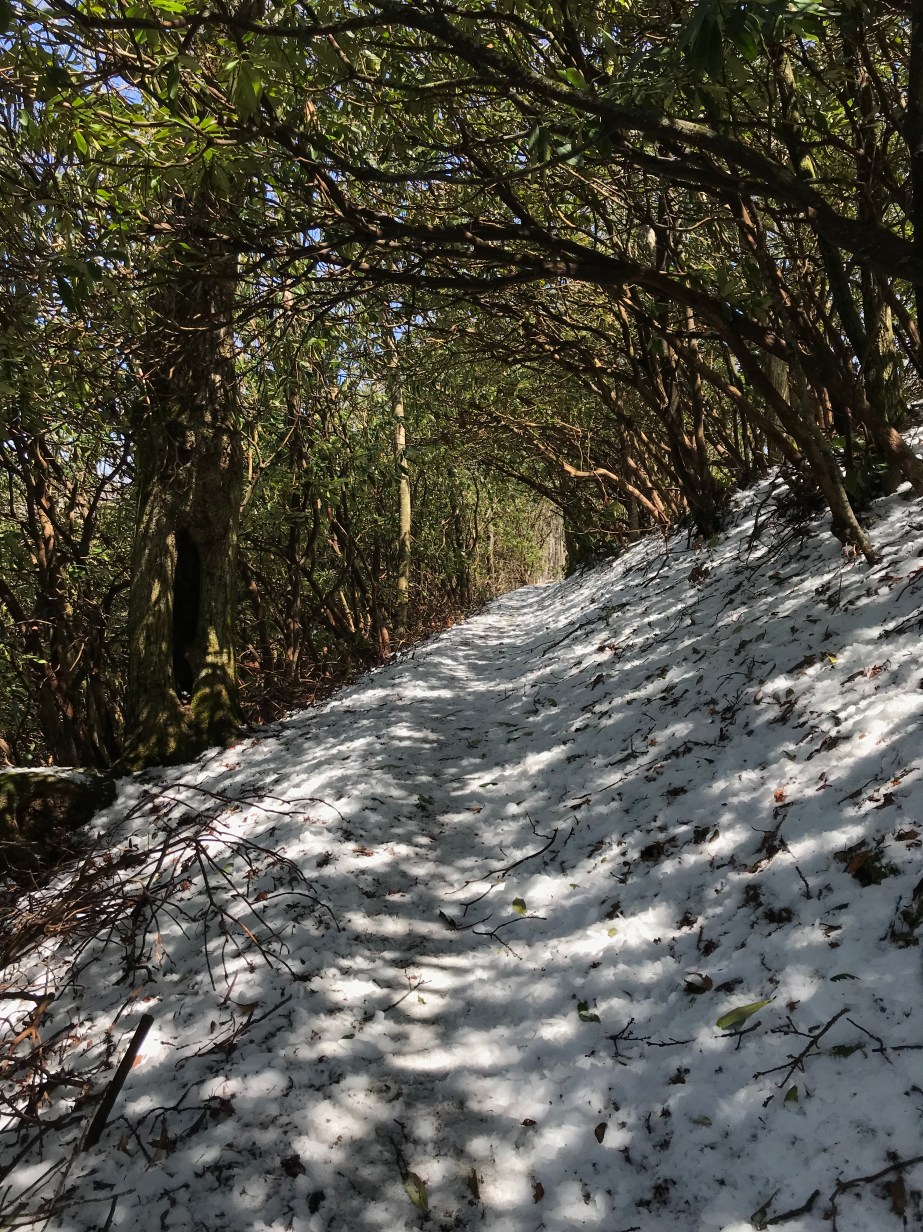 B3A33F01-B942-40BA-A2E8-76273F61113D