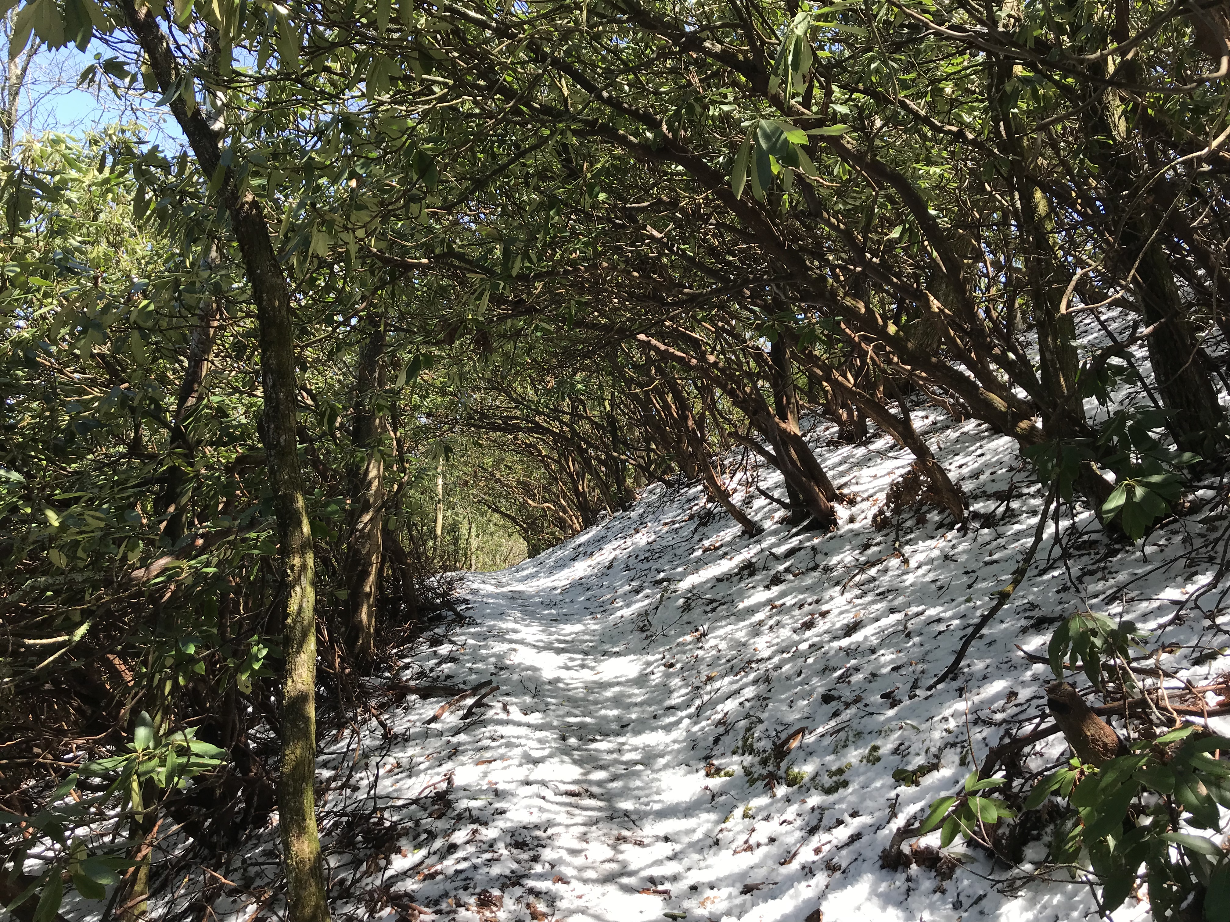 C204DDAF-817F-4A5F-B334-50C45E921B12