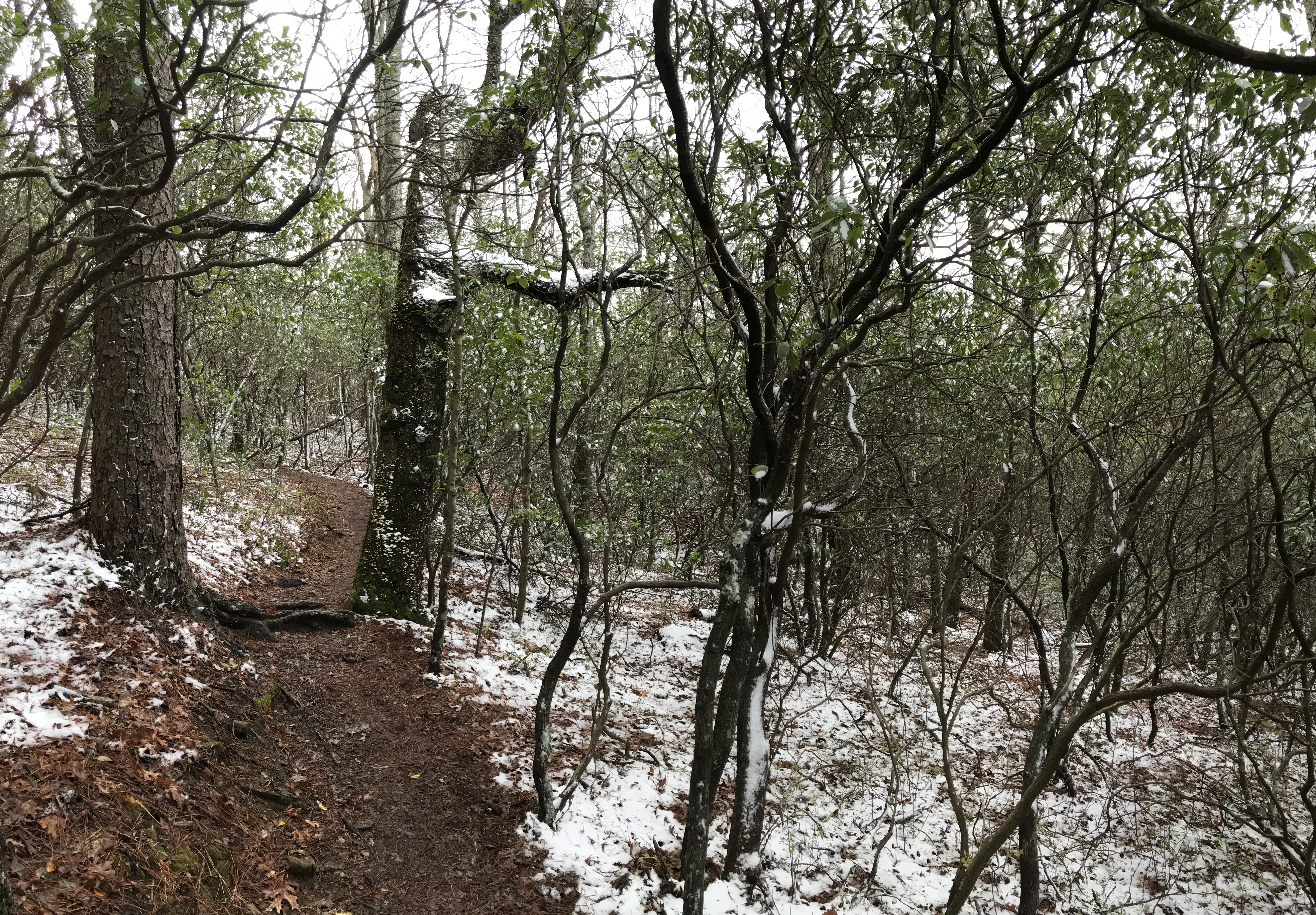 D5B27A26-6CBB-491F-9521-17A8564BA97E