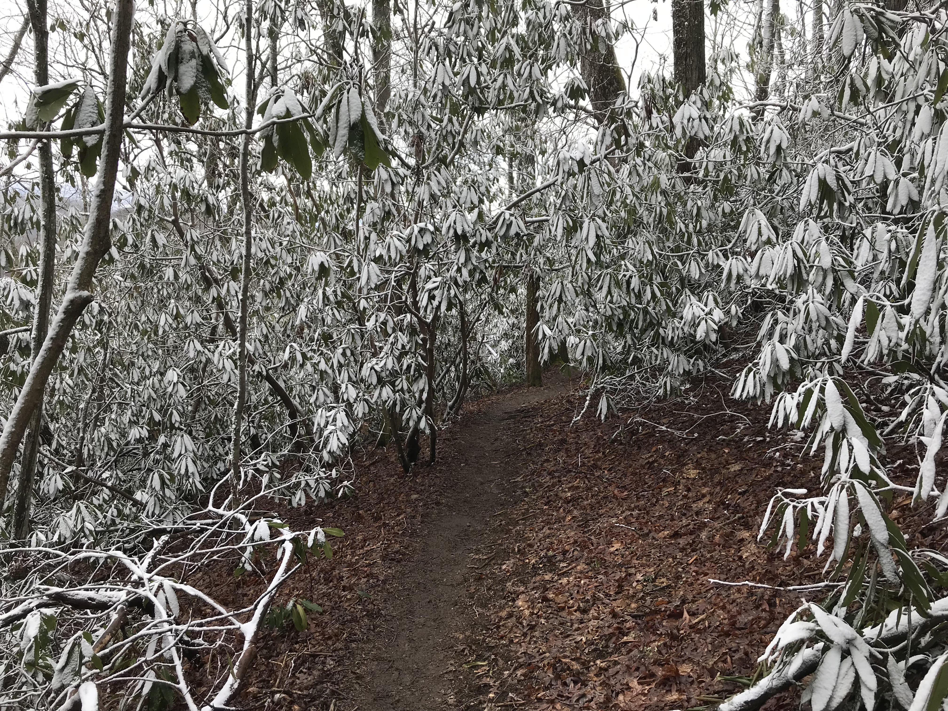 DAA470C3-1D1E-4C19-8C45-A731A13342E7