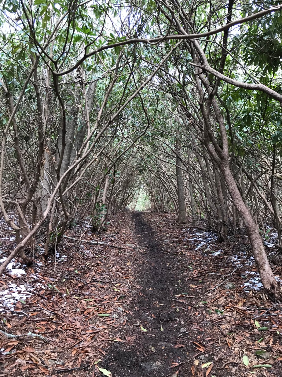 DD0C3F85-D1BC-4F6F-ADC0-01582B666C61