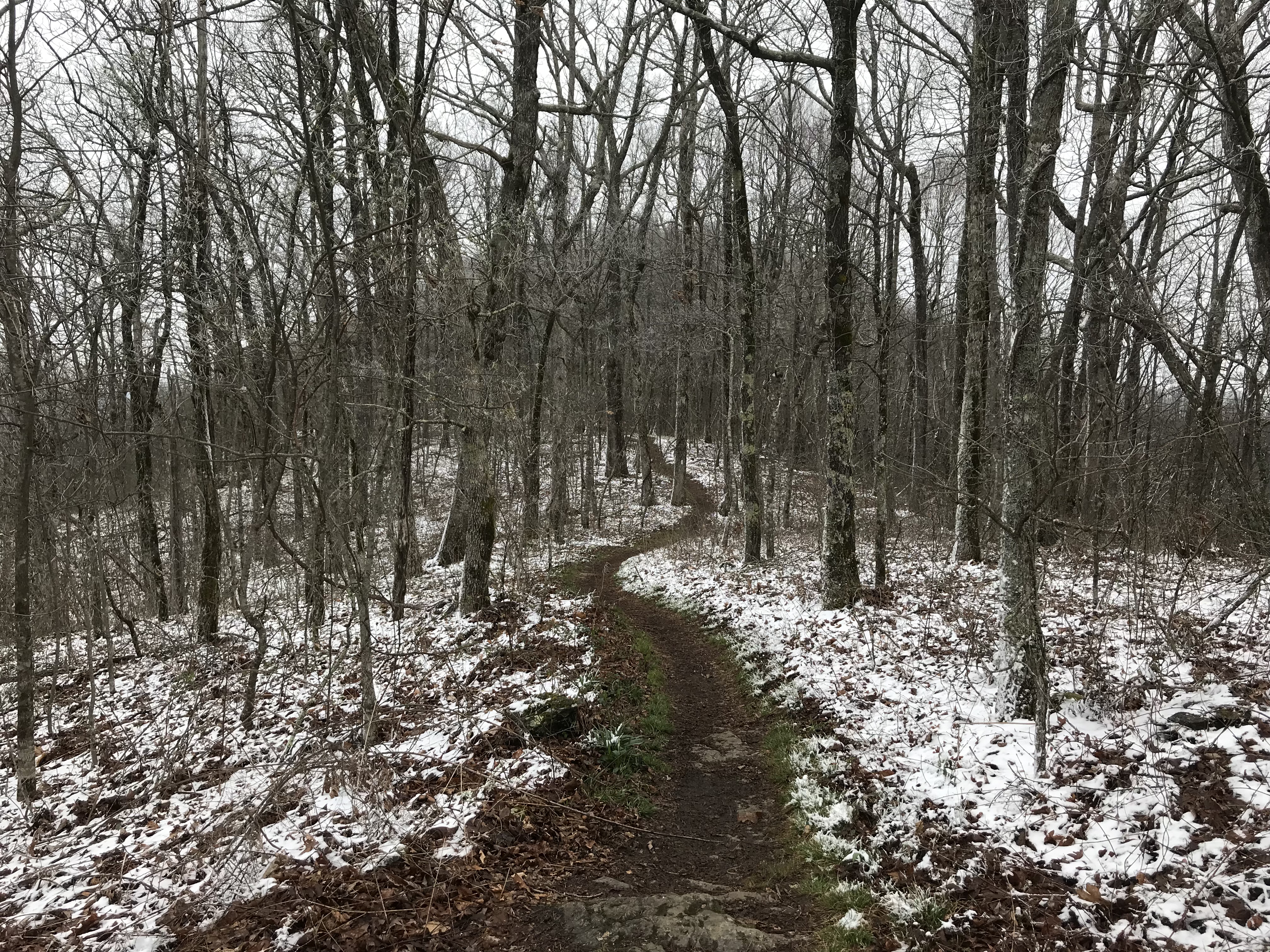 E4BB289A-F049-4B9C-8C5D-46C39EDC9532