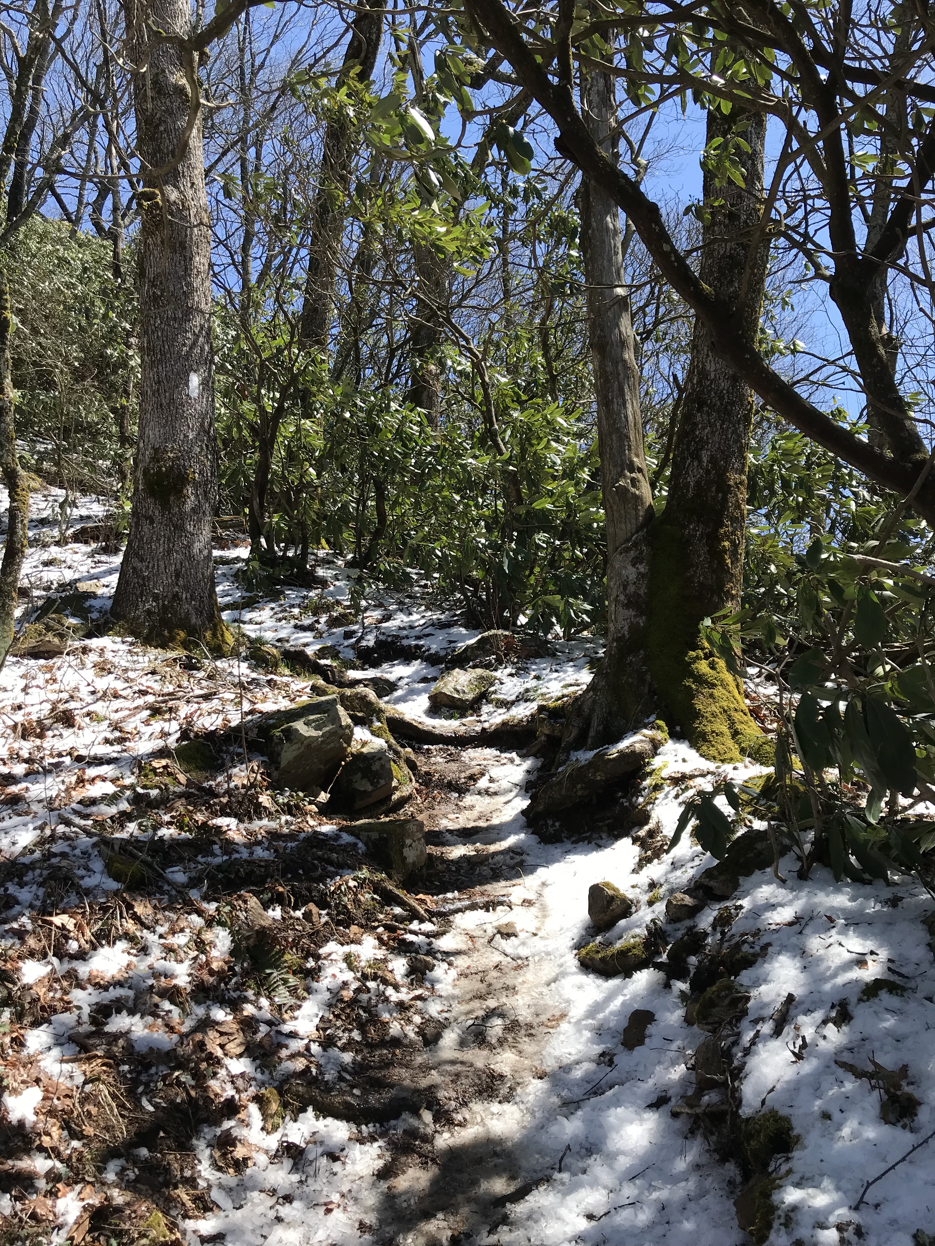 E63FB05A-384D-4F4E-841B-90CC304946B5