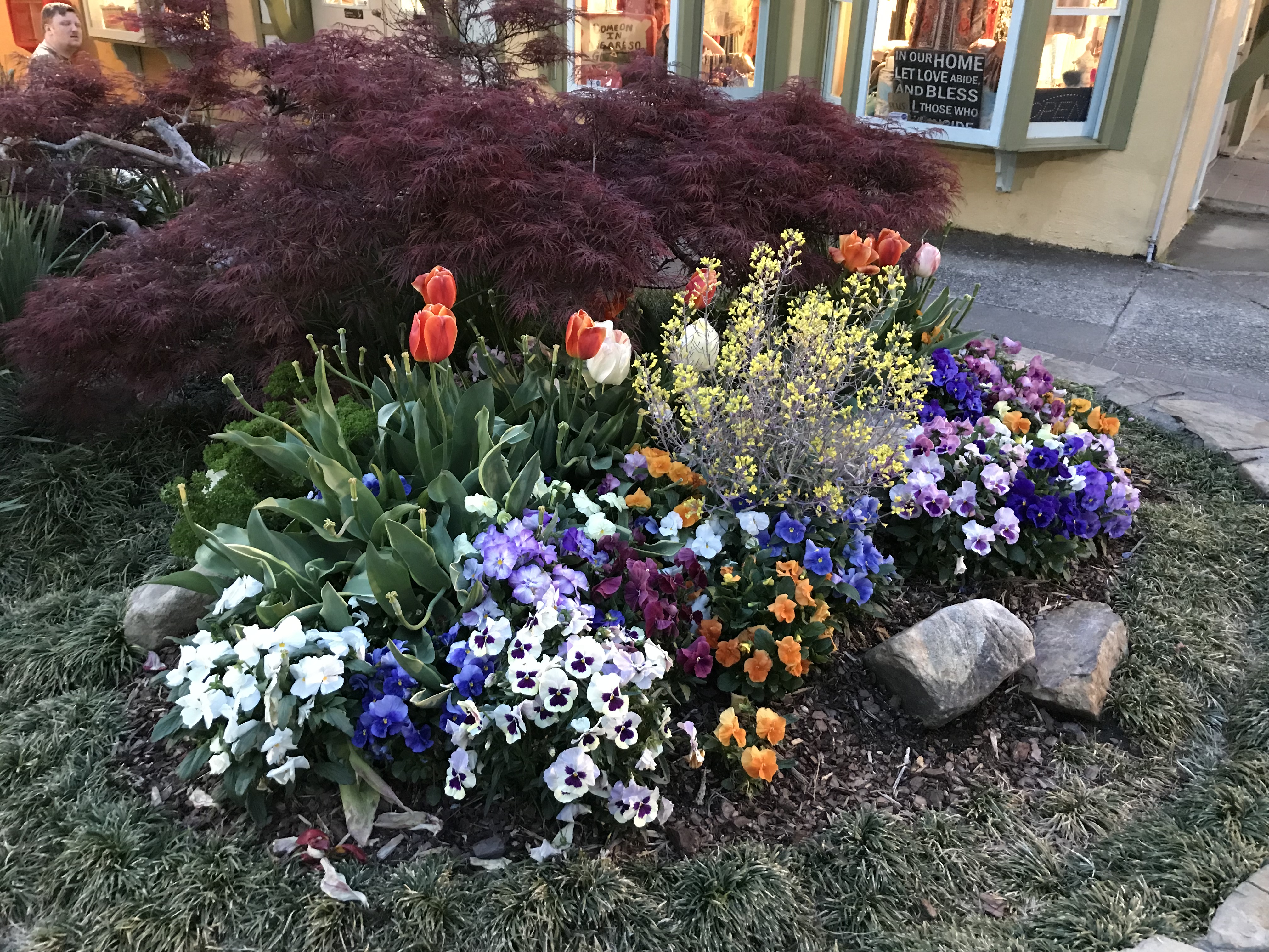 ED43E29E-F811-4EAB-B0F2-1EF1D7F7ECE2