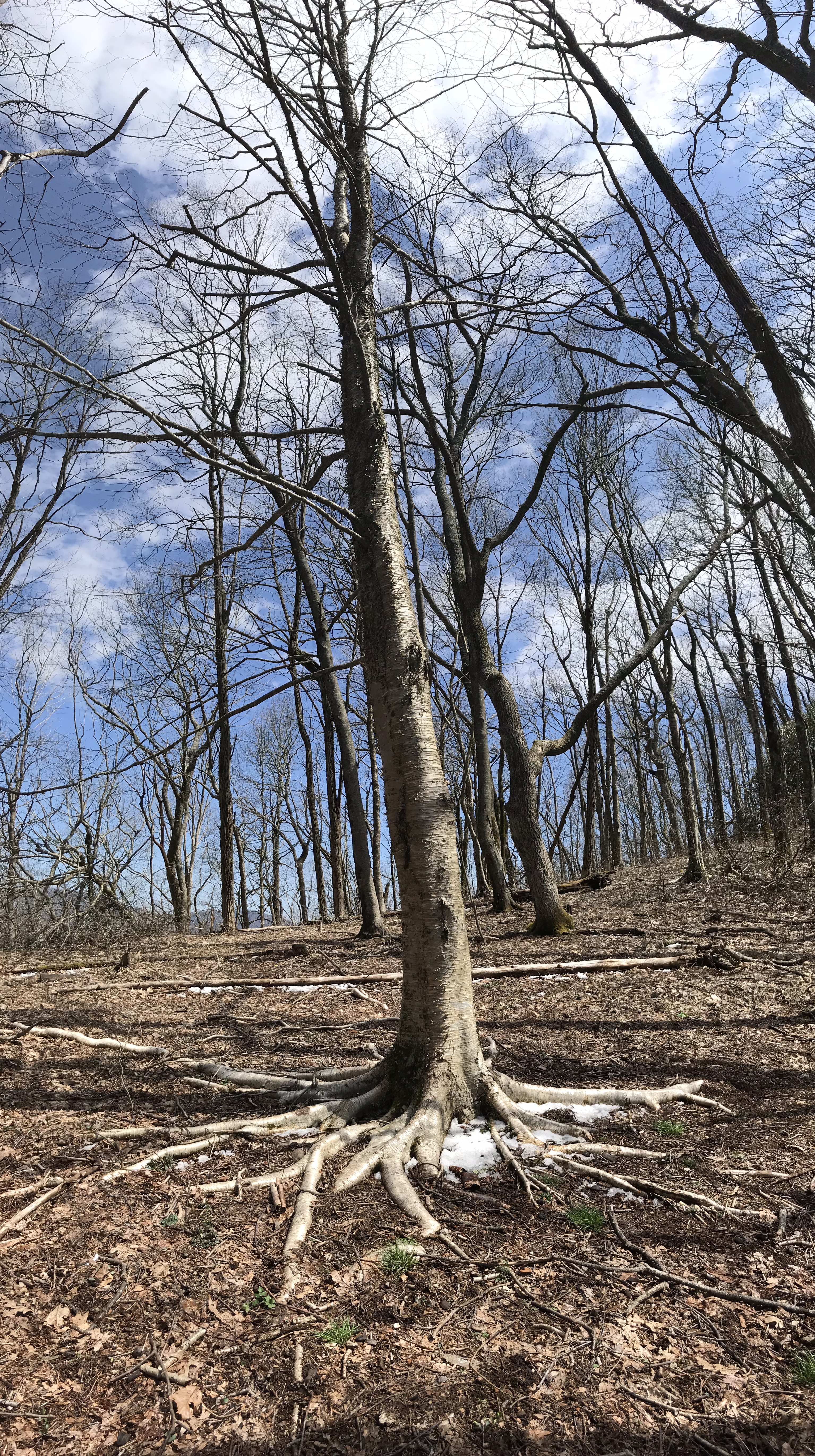 F803991E-9C86-402D-B250-0C04CD525A86